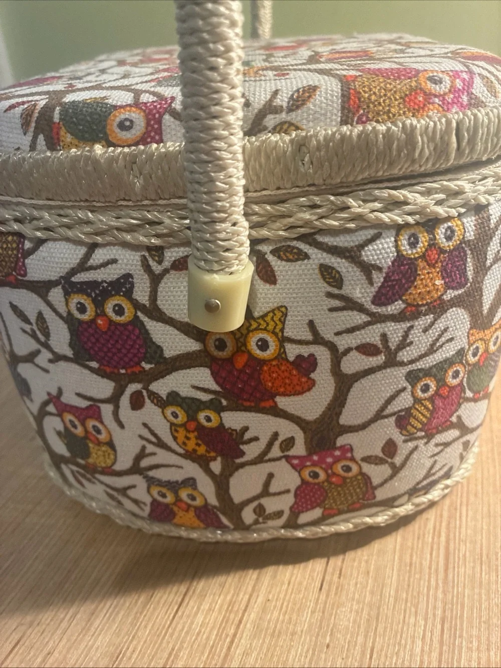 Owl Print Seeing  Box in Cream and Multicolor